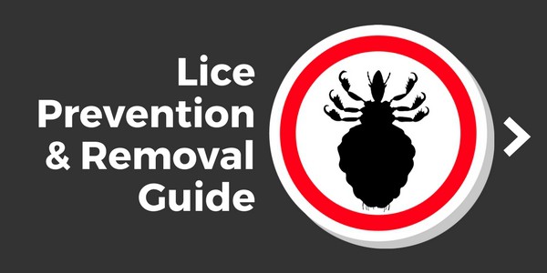 lice removal guide