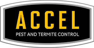 Accel Pest and Termite Control