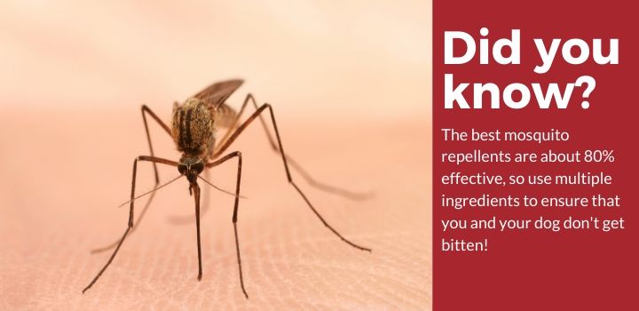 你知道最好的驱蚊剂只有80%的效果吗?