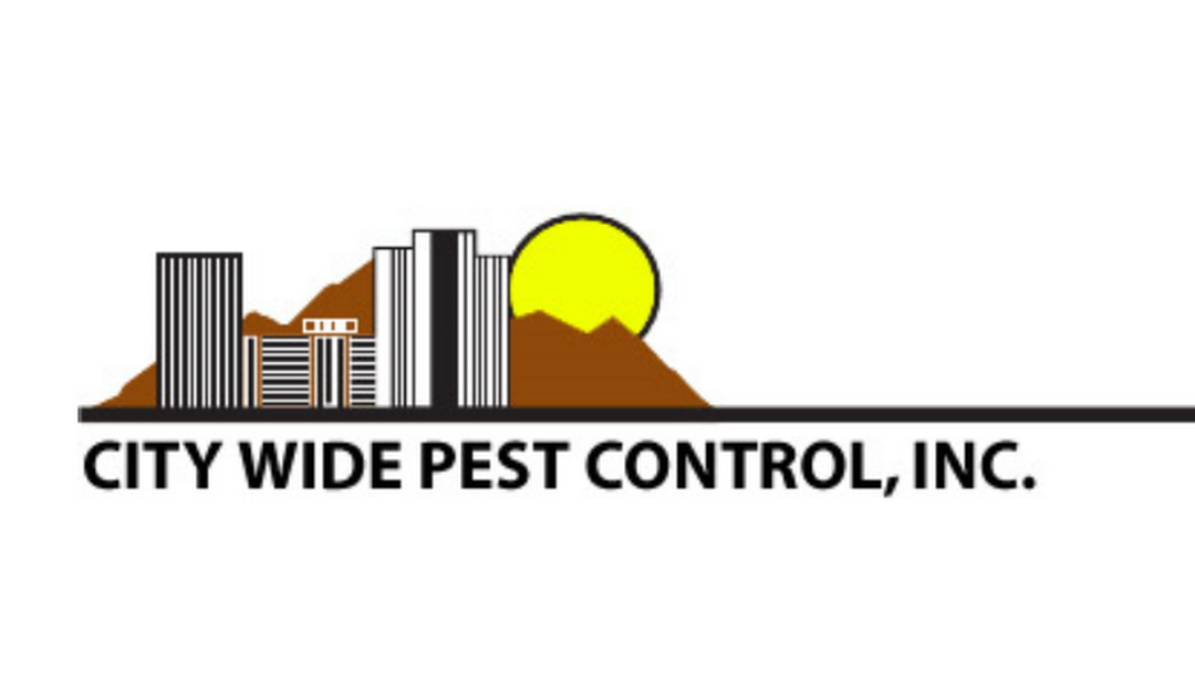 city wide pest control review