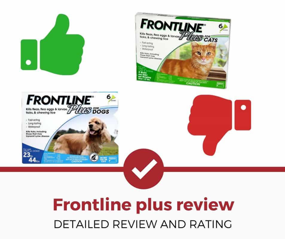 FrontLine Plus评论