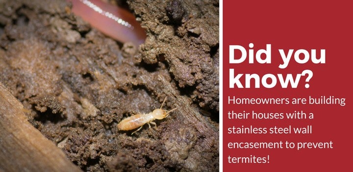 termite treatments steel walls