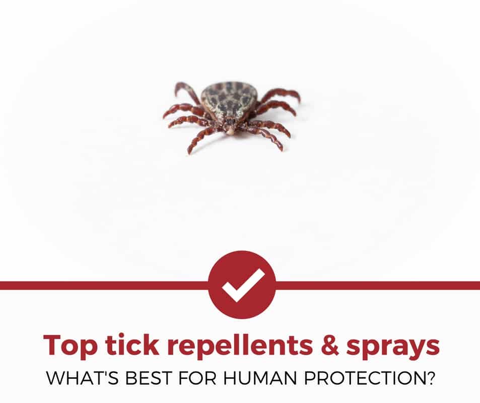 best tick repellents and sprays