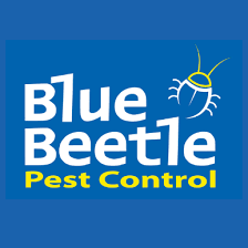 蓝色的甲虫虫害控制