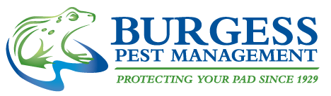 Burgess Pest Control Company