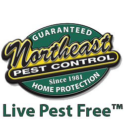 Northeast Pest Control