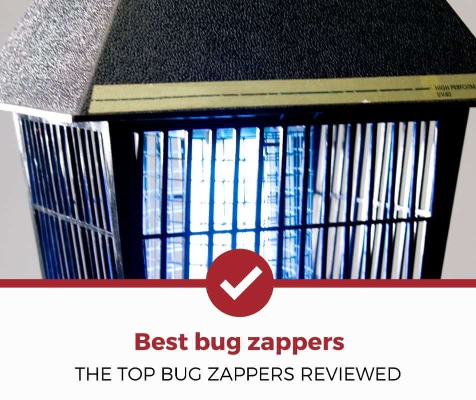 Best Bug Zappers