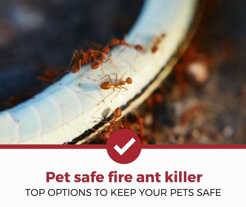 best pet safe fire ant killer review
