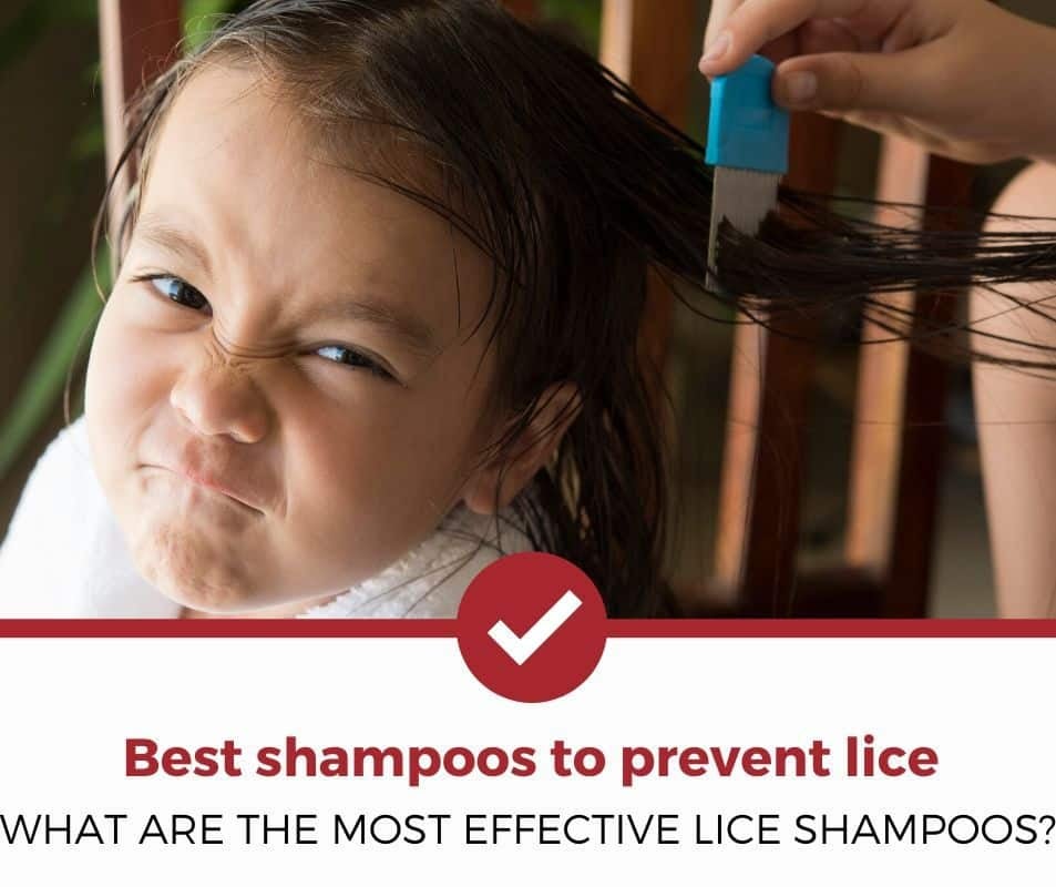 What are the most effective shampoos to prevent lice?
